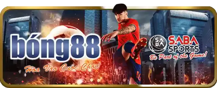 Giới thiệu về Gà Cam67 Casino